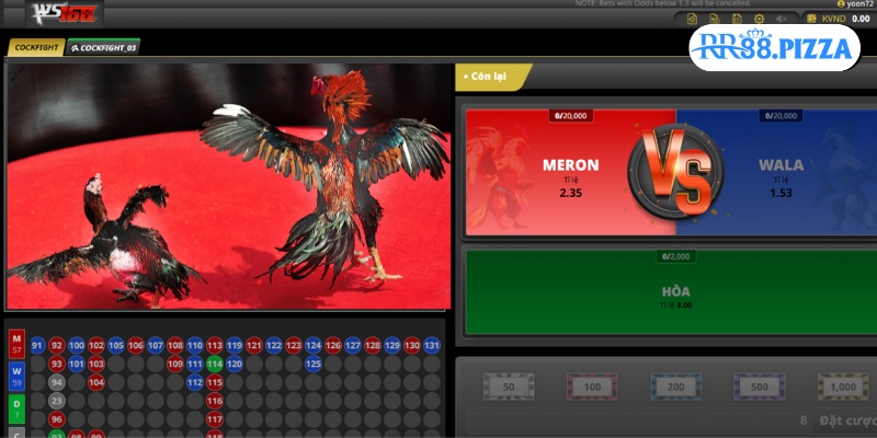 Những video sắc nét được cập nhật liên tục tại Đá Gà WS168